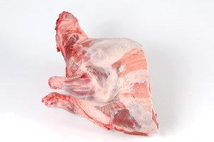 Meat Cut Spec Step 3